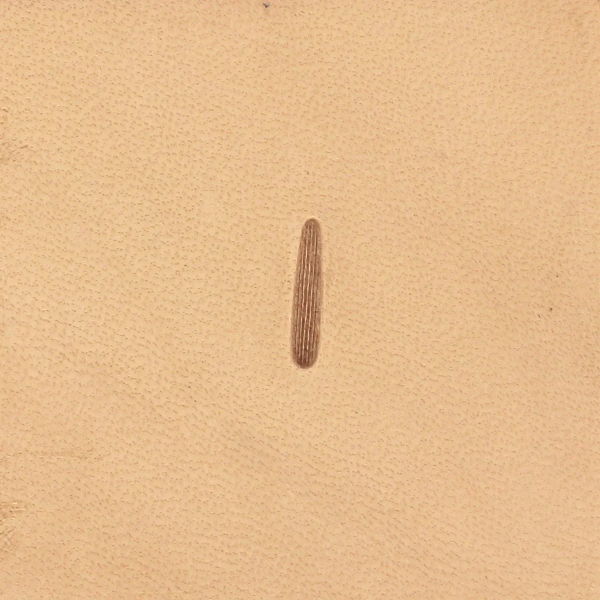 Matoir Thumbprint Vertical - Barry King Tools – Image 5